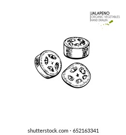 Vector hand drawn set of farm vegetables. Isolated hot sliced jalapeno pepper. Engraved art. Organic sketched vegetarian objects. Use for restaurant, menu, grocery, market, store, party, meal