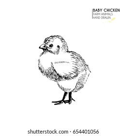 Vector hand drawn set of farm animals. Isolated baby chicken. Engraved art. Organic sketched farming birds. Use for restaurant, menu, grocery, market, store, party, meal