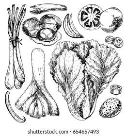 Vector hand drawn set of farm vegetables. Isolated chinese cabbage, leek, quail egg, tomato, onion. Engraved art. Organic sketched objects.Use for restaurant, menu, grocery, market, store party meal