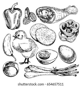 Vector hand drawn set of farm vegetables. Isolated bell pepper, chicken, leg, eggs, onion. Engraved art. Organic sketched objects. Use for restaurant, menu, grocery, market store party meal