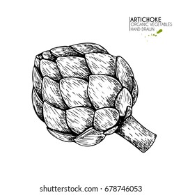 Vector hand drawn set of farm vegetables. Isolated artichoke. Engraved art. Organic sketched vegetarian objects. Use for restaurant, menu, grocery, market, store, party, meal