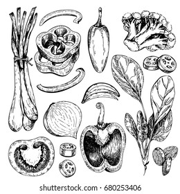 Vector hand drawn set of farm vegetables. Isolated spinach, broccoli, leek, bell pepper, tomato, onion. Engraved art. Organic sketched objects. restaurant, menu, grocery market store party meal