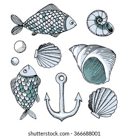 vector hand drawn set: fish, shell and anchor. Original hand drawn illustration in vintage style