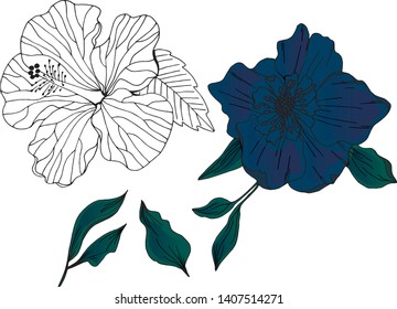 Vector hand drawn set of flowers and leaves on white background. Coloring element for book. Isolated sketch drawn flowers for card and borders design as well as for wrapping seamless texture - Vector