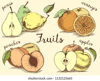 Vector hand drawn set of fruits. Colored apples, peaches, pears and oranges isolated on background.