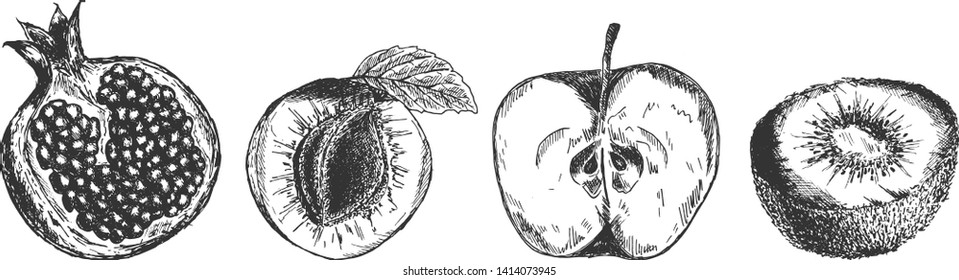 Vector hand drawn set of fruits. Pomegranate, apricot or peach, apple, kiwi. Half and slice. Isolated on white background