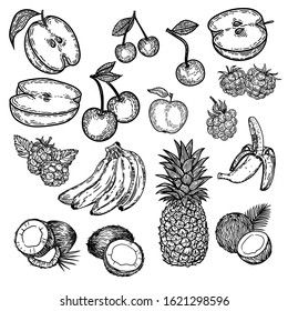 Vector hand drawn set of fruits isolated on white background.