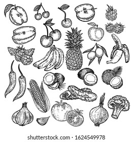 Vector hand drawn set of fruits and vegetables isolated on white background.