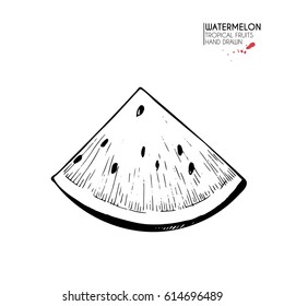Vector hand drawn set of fruits. Isolated watermelon slice. Engraved art. Delicious vegetarian objects. Use for restaurant, menu, smoothie bowl, market, store, party decoration