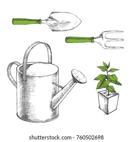 Vector hand drawn set of garden tools and plant in container isolated on white. Watering can, trowel, fork and seedling in sketch style