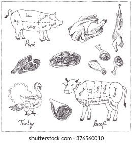 Vector hand drawn set with Meat. Vintage illustration for design menus, recipes and packages product.