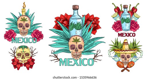 Vector hand drawn set with Mexican symbols with tequila bottle, skull, agave, sombrero, maracas, roses and candle. Concept for greeting cards, tattoo, souvenirs, prints and posters.