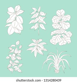 vector hand drawn set of minimalist floral sketches isolated on dusty blue background. Design element, floral and natural themes, textile, interior and printed goods decoration. 