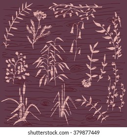 Vector hand drawn set of most recognizable wild flowers and plants on wooden background. Floral theme, illustration for special sources, design element, decoration of rooms. 