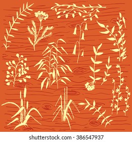 Vector hand drawn set of most recognizable wild flowers and plants on red wooden background. Floral theme, illustration for special sources, design element, decoration of rooms. 