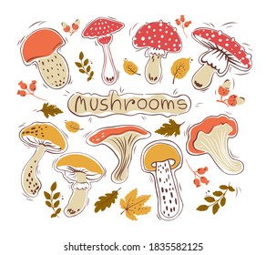 Vector hand drawn set of mushrooms and leaves. Autumn. Hygge. Isolated background.