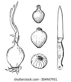 Vector hand drawn set of objects. Onions and knife.