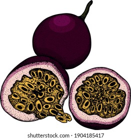 Vector hand drawn set of passion fruits. Passion fruit colored illustration. Delicious tropical vegetarian objects. Use for restaurant, menu, smoothie bowl, market, store, party decoration, meal