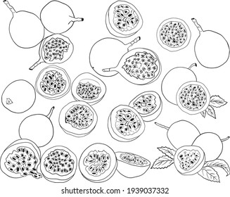 Vector hand drawn set of passion fruits. Passion fruit illustration. Delicious tropical vegetarian objects. Use for restaurant, menu, smoothie bowl, market, store, party decoration, meal