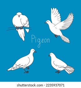 Conjunto de palomas dibujadas a mano vectorial aisladas en fondo blanco.