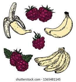 Vector hand drawn set of raspberries and bananas.