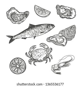 Vector hand drawn set of sardine fish, oysters, crab, shrimp and lemons isolated on white.