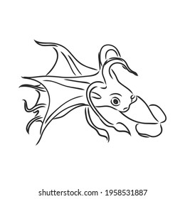 Vector hand drawn set of seafood icons. Isolated squid. Engraved art. Delicious marine food menu sketched objects. Use for restaurant, meal, market, store, menu, party decoration, other design