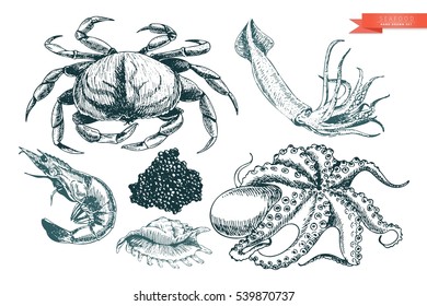 Vector hand drawn set of seafood icons. Crab, shrimp, squid, octopus, caviar and oyster. Engraved art. Delicious menu objects. Restaurant, meal, market, store, menu, party decoration other design
