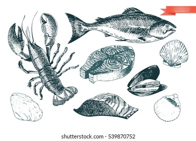 Vector hand drawn set of seafood icons. Lobster, salmon, fillet and clams. Engraved art. Delicious food menu objects. Use for restaurant, meal, market, store, menu, party decoration, other design