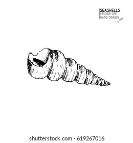 Vector hand drawn set of seashells. Isolated starfish. Underwater animal life. Tropical scallop on white. Engraved art. Use for sea restaurant, travel brochure, decoration. 