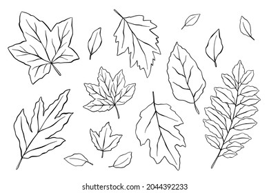 Vector Hand Drawn Set Silhouette Leaves Stock Vector (Royalty Free ...