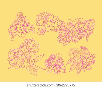 Vector hand drawn set sketch line art of cherry blossom flowers and branch. 