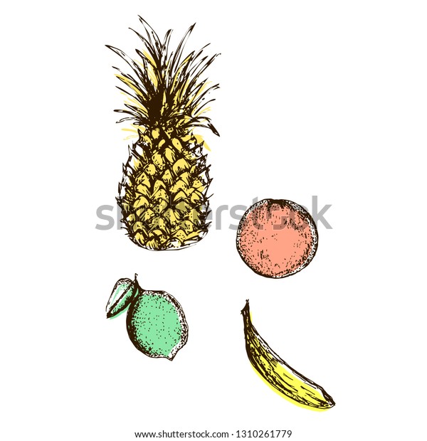 Vector Hand Drawn Set Some Tropical Stock Vector Royalty Free 1310261779