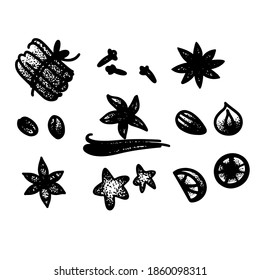 Vector hand drawn set of spices. Vintage illustration