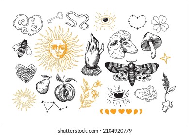 Vector hand drawn set. Sun, hand, butterfly, clouds, fruit, sheep, mushroom, bee, eyes, stars, heart and more. Sketch and line illustration.