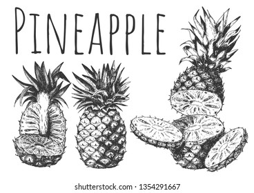 Vector hand drawn set of tropical fruits. Juicy ripe pineapple cut into rings and halved, whole pine. Isolated on white background.