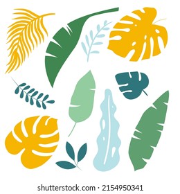 Vector hand drawn set of tropical leaves. Monstera, banana leaves, branches. Clipart set on a white background.