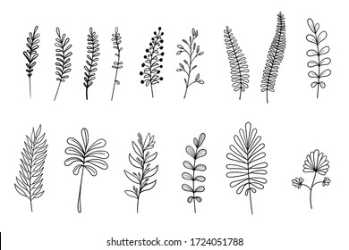 Vector hand drawn set of various silhouette branches with leaves in outline technique on the white background.