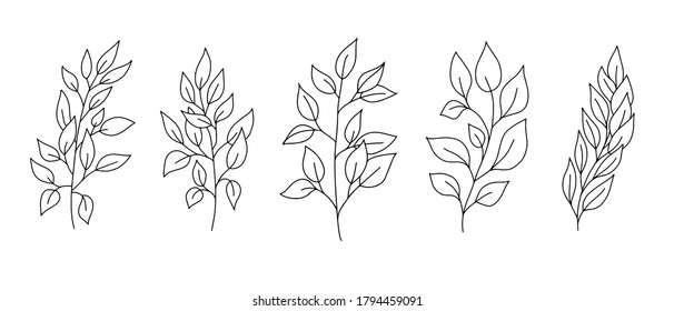 Vector hand drawn set of various silhouette branches with leaves in outline technique on the white background.