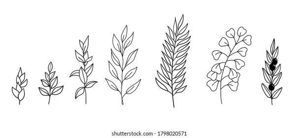 Vector hand drawn set of various silhouette branches with leaves in outline technique on the white background.