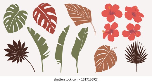 Vector hand drawn set of various silhouette branches with abstract tropical leaves. botanical element collection with Earth tone color. Design for natural and floral background pattern, bouquet