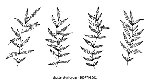 Vector hand drawn set of various silhouette branches with leaves on the white background. Elements design for fabric, wrapping paper and web.