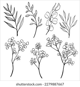 Juego de vectores dibujado a mano de varias ramas de silueta con hojas y rama de gypsophila sobre el fondo blanco. Ilustración vectorial floral. Excelente para tus diseños de boda.