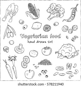 Vector hand drawn set of Vegetarian food. Vegetables, fruits. Vintage illustration for design menus, recipes and packages product.