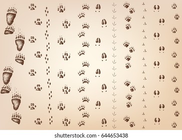 Vector hand drawn set of walking wild wood animal and bird tracks
