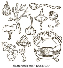 Vector hand drawn set of witch objects for coloring book. Cartoon ingredients for making magic potion with boiling pot.