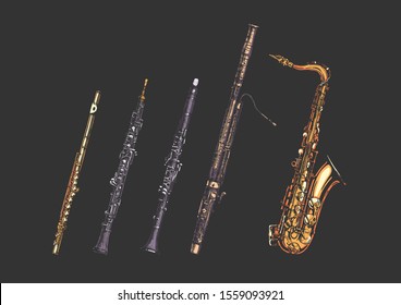 Vector hand drawn set woodwind musical instruments   Flute   oboe  clarinet  bassoon   saxophone 