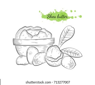 Vector hand drawn shea butter. Isolated hand drawn illustration on white background. Organic natural healthy product. Great for banner, poster, label, package, wrapper
