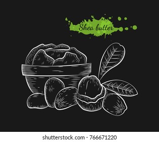 Vector hand drawn shea butter. Isolated hand drawn illustration on black background. Organic natural healthy product. Great for banner, poster, label, package