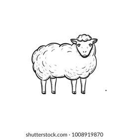 Vector hand drawn Sheep outline doodle icon. Sheep sketch illustration for print, web, mobile and infographics isolated on white background.